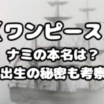 ナミの本名は？出生の秘密も考察