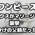 ロックスがマリージョア襲撃・黒ひげの父親だった？
